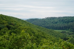 DSC01924
