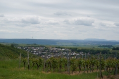 DSC01964